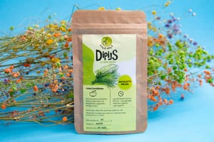 Dipijs ar diļlu garšu